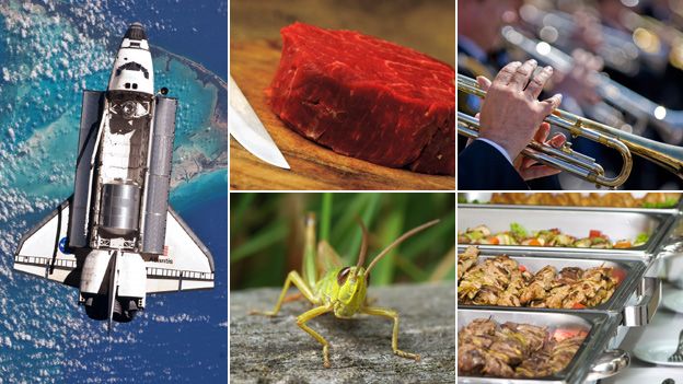 From top left, clockwise: space shuttle, red meat, trumpet players, canteen food, grasshopper. Images by Getty and Thinkstock