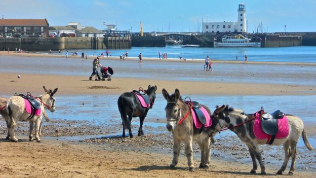  Your pictures: Summer - BBC News