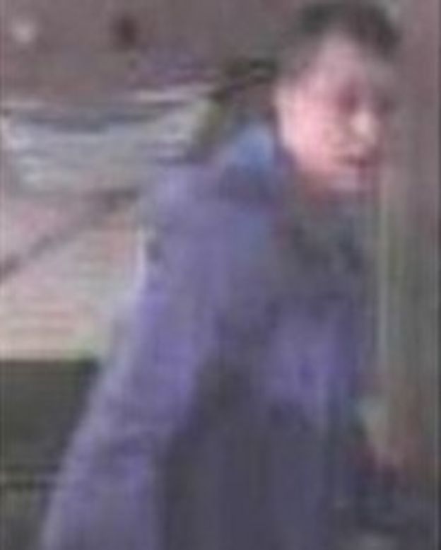 Lurcher stolen in third Lingfield kennel breakin BBC News