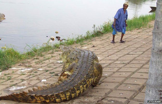 Dicko Toki with a crocodile