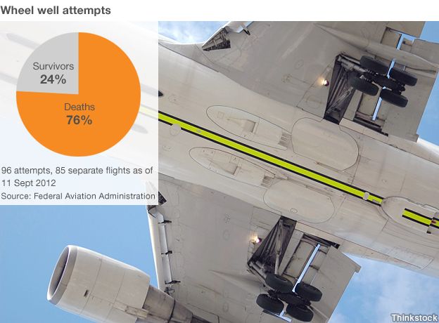 How Often Do Plane Stowaways Fall From The Sky Bbc News 