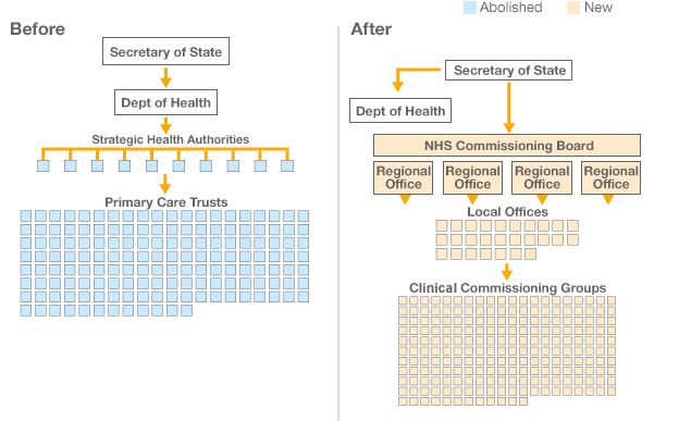Graphic showing the NHS's new management structure