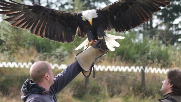 Your pictures of Scotland: 21 - 28 September - BBC News