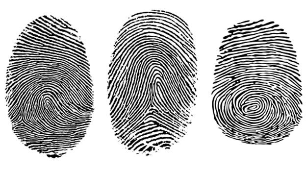 fingerprint types