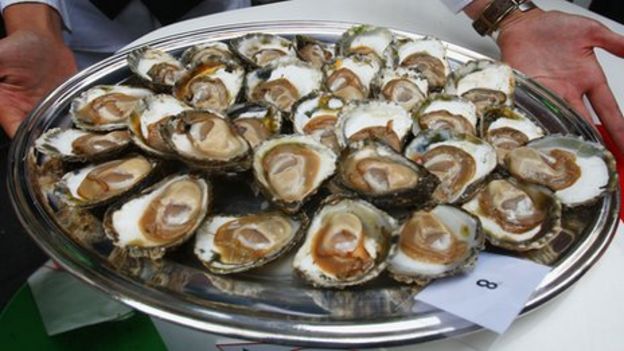 Oyster spawning predicted for 'first time in British seas' - BBC News