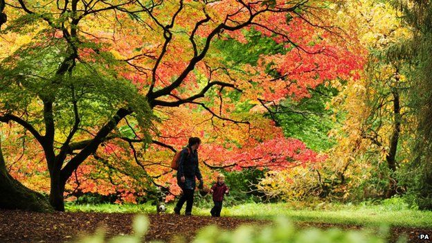 A mother and child enjoy the Autumn colours at Westonbirt Arboretum in Gloucestershire