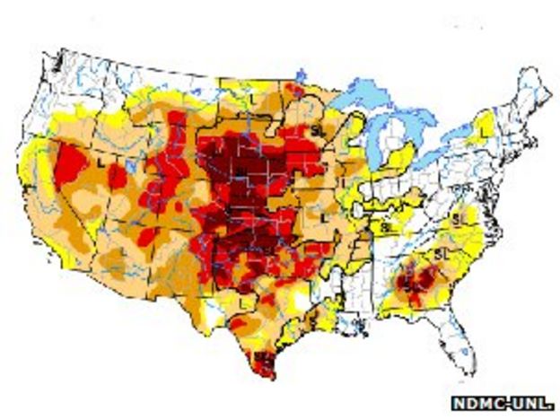 Smaller, fewer, thinner - the future for American beef? - BBC News