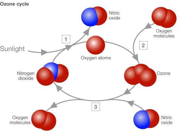 Image of the ozone cycle