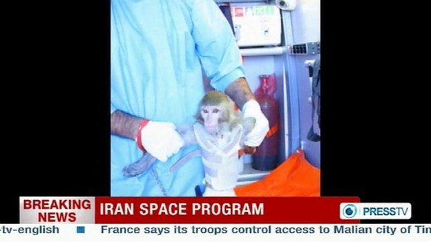 Monkey 'successfully sent into space' by Iran - BBC Newsround