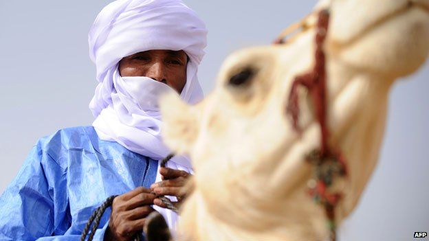 Tuareg on camel