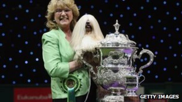 Crufts 2013: Record number for overseas entries - BBC News