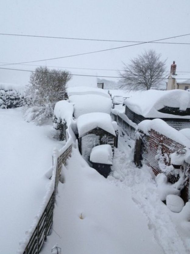 Your pictures: Snow continues to bring chaos to UK - BBC News