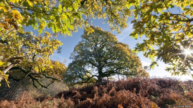 In pictures: Spring Fling photographers - BBC News