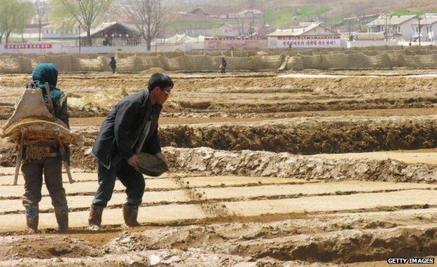 North Korean farmers