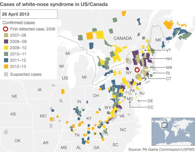 Map showing the spread of WNS in the US/Canada (Image: BBC)