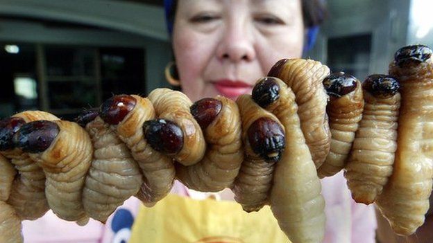 A Thai worker prepares grubs to cook in the kitchen of Insects Inter in Bangkok, 12 September 2002