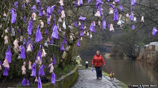 A woman walks her dog under the Todmorden tree of dog poo bags
