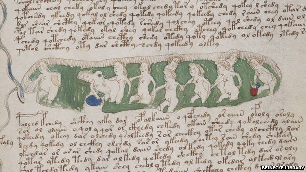 Voynich Manuscript - detail