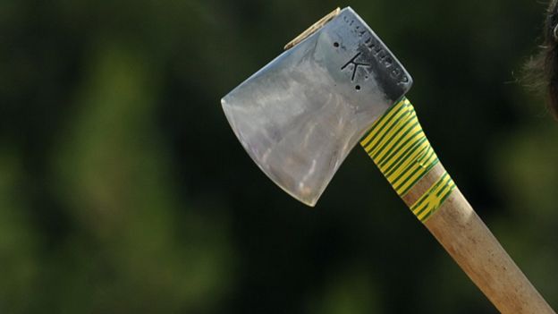 An axe chopping wood (file photo)