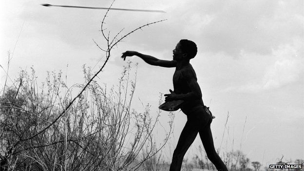 Circa 1956: A South African bushman hunting big game throws his spear