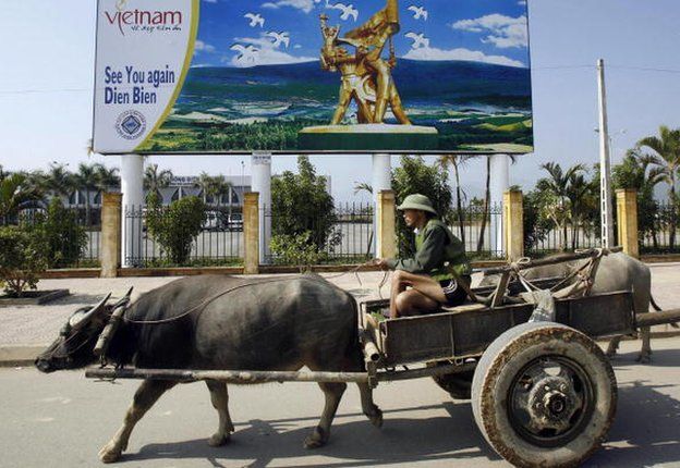 Man in a cart behind a buffalo in Dien Bien, Vietnam