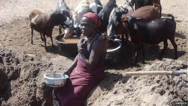 A Turkana Woman scoops water from the sandy bed of River Taraj for her goats, Kenya