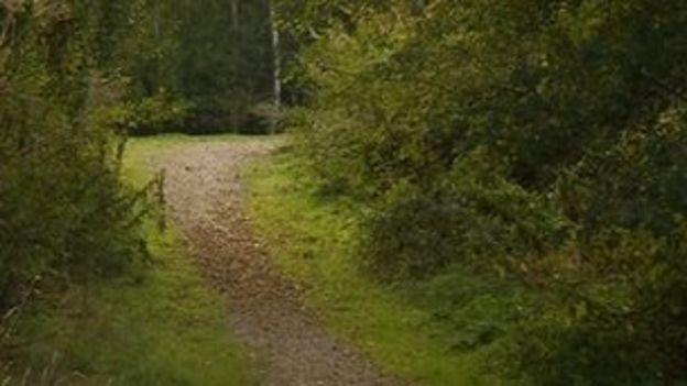 Man died after motorbike hit tree on Nutbrook Trail - BBC News