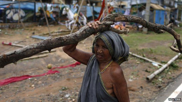 A woman carries a tree branch in Gopalpur
