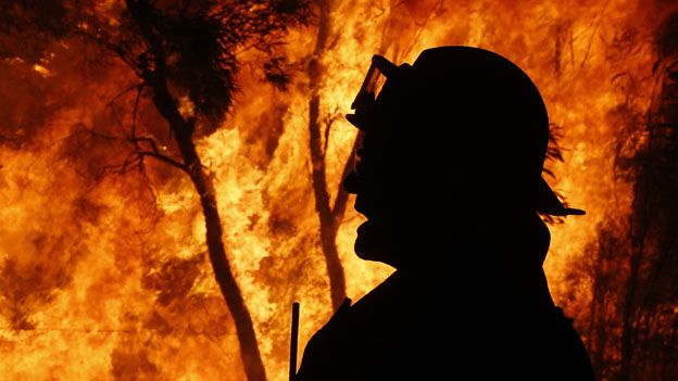 Firefighter surveys NSW fires