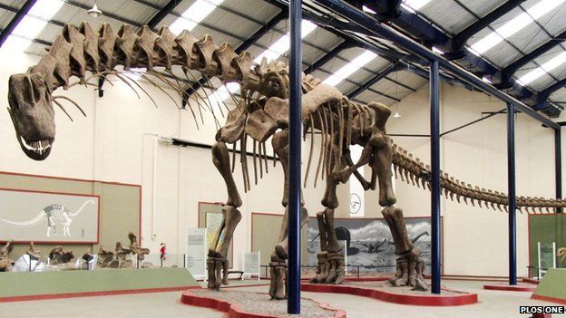 Argentinosaurus reconstruction