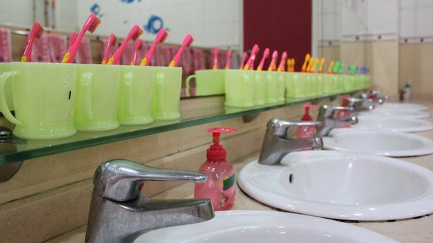Toothbrushes lined up by the sink