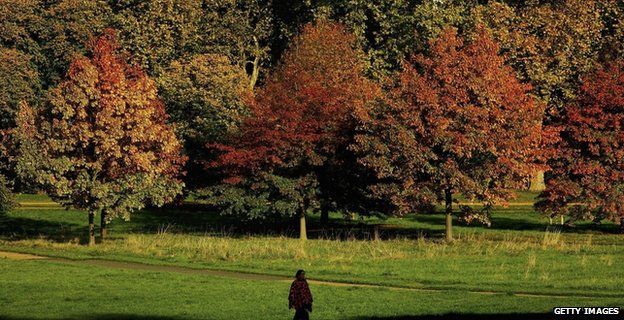 Person walking through Hyde Park, London (Getty Images)