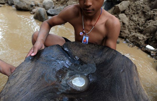 Jorge Aristides shows a wooden basin with mercury to find gold in a creek in the mountains of San Juan Arriba, 130 km south of Tegucigalpa, on February 7, 2012.