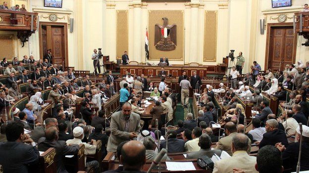 Egypt's House of Representatives (July 2012)