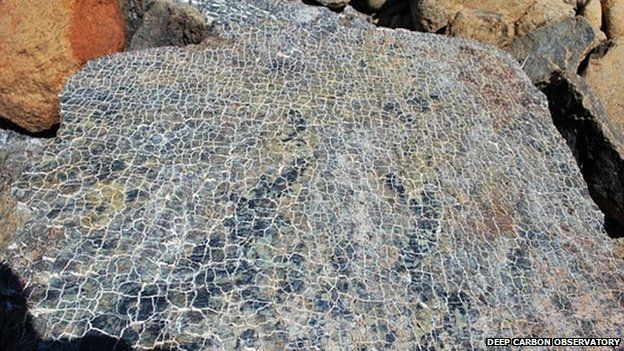Serpentised slab of olivine