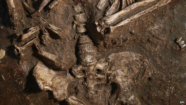 Neanderthal remains found in the Kebara Cave in Israel