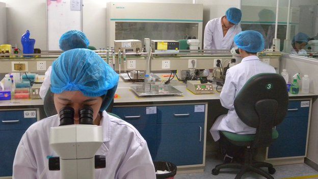 Chinese scientists at cloning centre