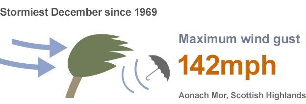 Icon showing tree blowing in wind and max wind gust 142mph