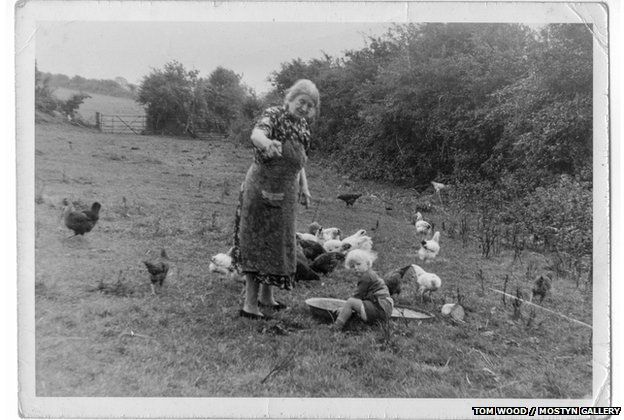 Granny and her hens, Tom Wood