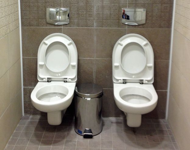 Two in one toilet on sale seat