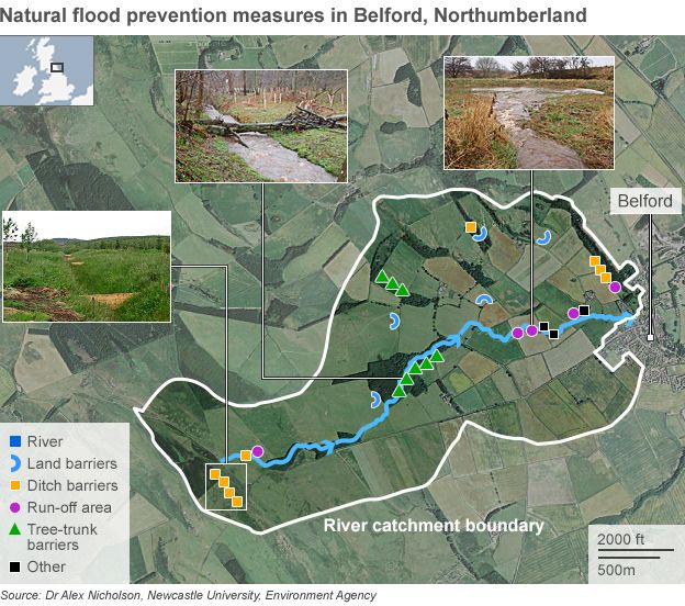 Map showing natural flood prevention measures around Belford in Northumberland