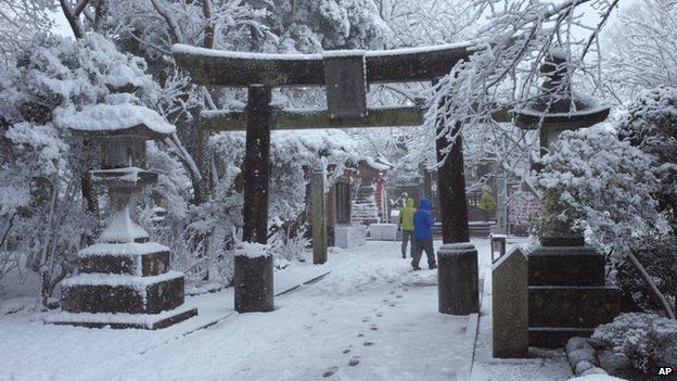 Tokyo hit by heaviest snow since 2014 - The Japan Times