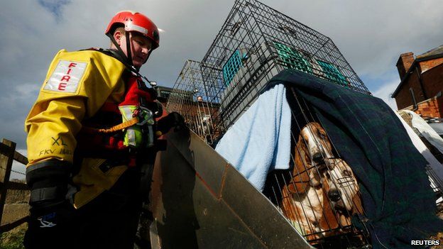 Devon and Somerset Fire and Rescue Service rescue dogs and cats in Burrowbridge, Somerset Levels, on 9 February 2014