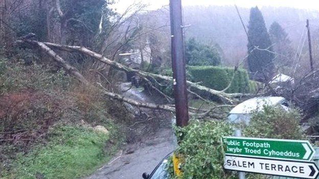 Trees brought down power lines in Gwaelod-y-Garth near Cardiff