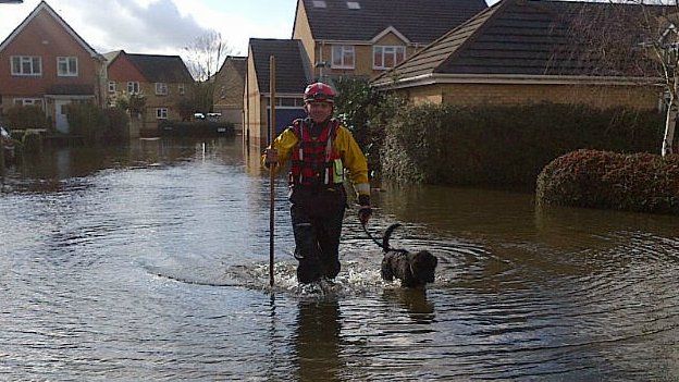 A rescue team member from Specialist Group International walks a dog through the flood water