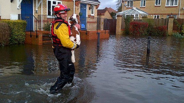 A rescue team member from Specialist Group International carries a dog through flood water