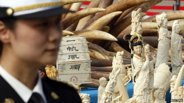 A police officer stands guard next to ivory and ivory sculptures before they are destroyed in Dongguan, Guangdong province 6 January 2014