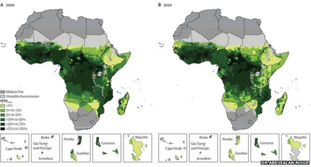 Keep Focus On Fighting Malaria In Africa Doctors Say Bbc News 4691