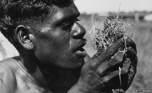 An Aborigine blowing into dry grass