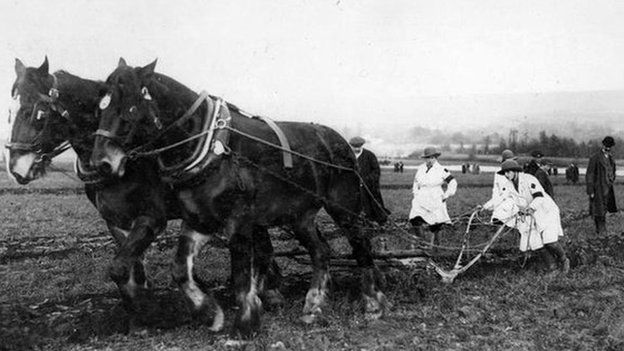 Members of the Women's Land Army operate a horse-drawn plough during World War One.
